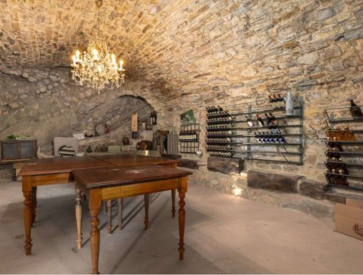 Beautiful farm in the heart of the Chianti Classico 18