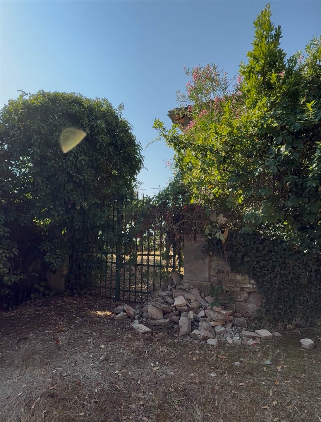 Renovation Project 2