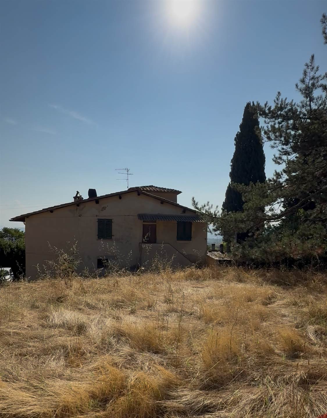 Renovation Project 7