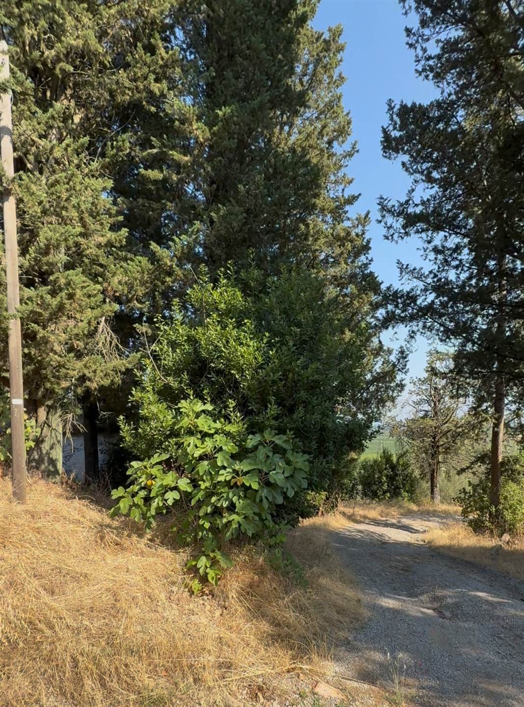 Renovation Project 8