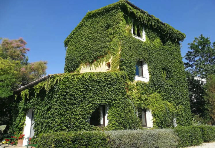 Castagneto Carducci - Wine country di Bolgheri DOC 2