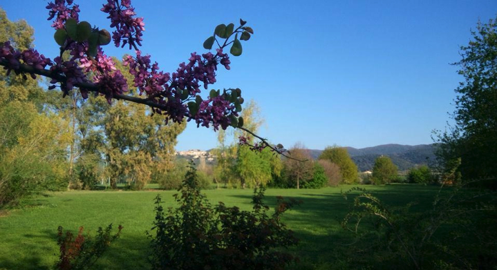 Castagneto Carducci - Wine country di Bolgheri DOC 3