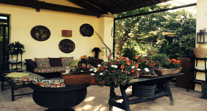 Castagneto Carducci - Wine country di Bolgheri DOC 4