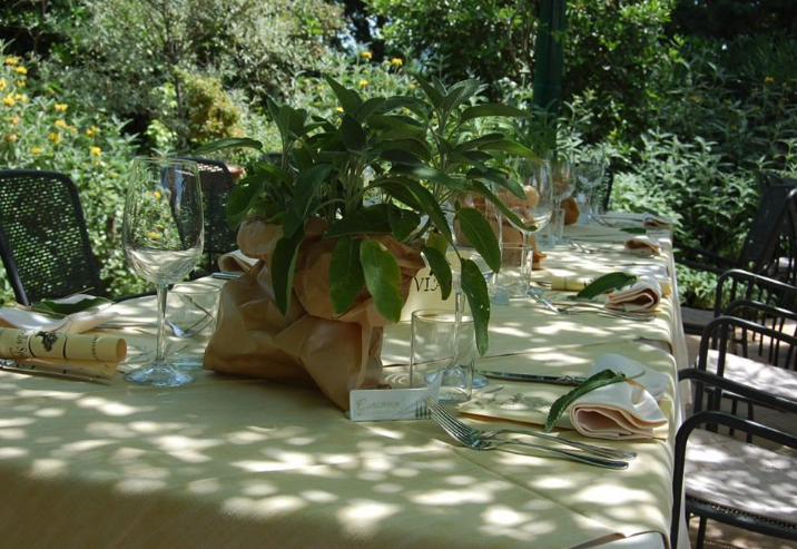 Castagneto Carducci - Wine country di Bolgheri DOC 5