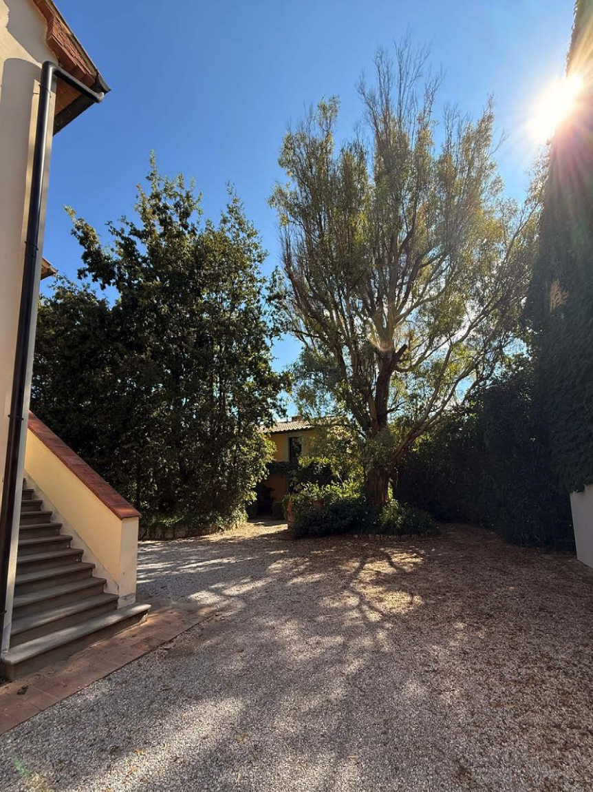 Castagneto Carducci - Wine country di Bolgheri DOC 6