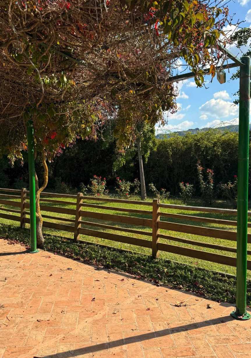 Castagneto Carducci - Wine country di Bolgheri DOC 7