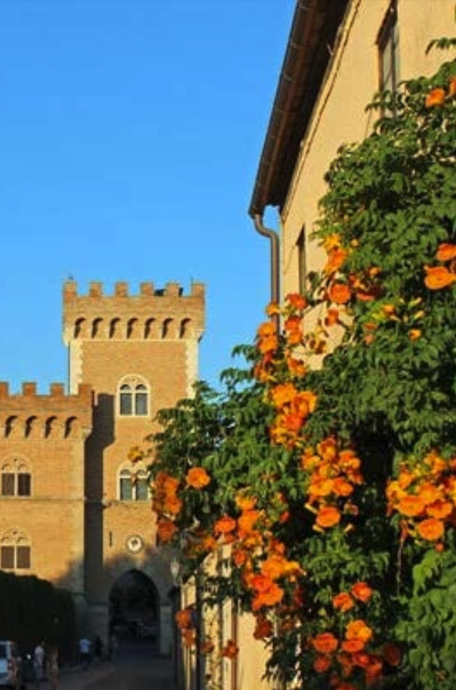 Castagneto Carducci - Wine country di Bolgheri DOC 8