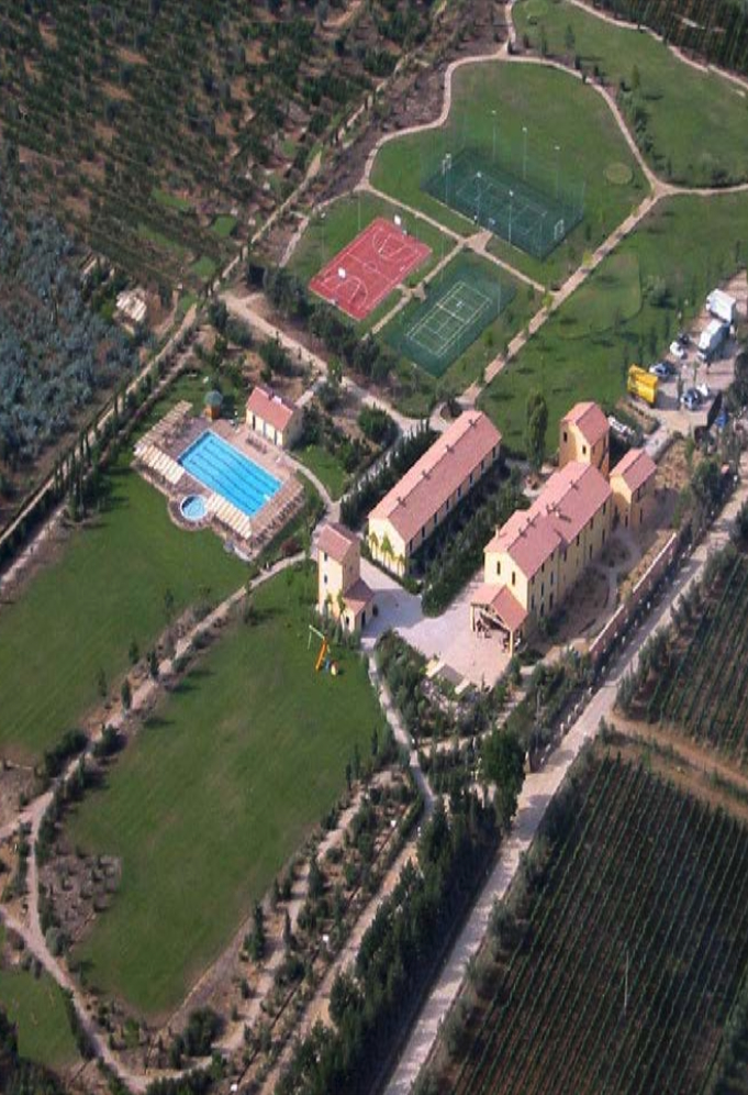 Castagneto Carducci - Wine country di Bolgheri DOC 9